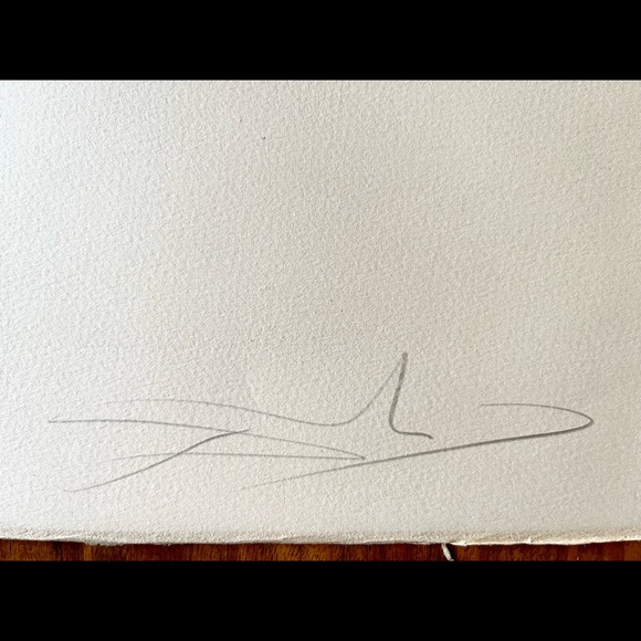 Salvador Dali Signed Limited Edition Lithograph - Picture 2 of 15